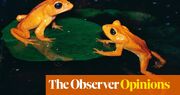 We are in danger of forgetting what the climate crisis means: extinction | Martha Gill