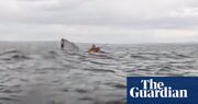 Just a fluke: whale spits out kayaker in incident captured on camera