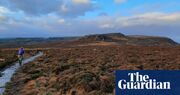 Wildlife Trusts buy Rothbury estate in largest land sale in England in 30 years