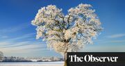 Winter wonder: Jeanette Winterson and others reveal why the cold has them under its spell