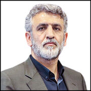 2 راهبرد اصلاح مصرف