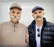 آغاز ماراتن 31 فیلم