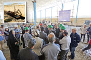مترو در ایستگاه تحریم نماند