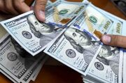 دلار رسمی امروز چند؟ | آخرین قیمت دلار، یورو و درهم در بازار ارز تجاری