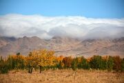 مه در زنجان، باران در گیلان | ببینید