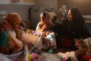 «غذای نیمروز» مجید مجیدی به بوسان رفت