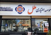همه طرح‌های وام «موسسه اعتباری ملل»
