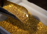 کاهش طلای جهانی در واکنش به سیاست پولی آمریکا