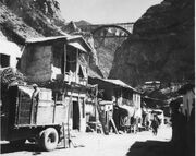 توسعه در ایران به فعالیتی پلاستیکی و بی‌روح تبدیل شد