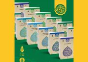 «درسنامه 12 جلدی امامت» دوره آموزشی می‌شود      
