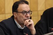 عرضه به‌موقع مرغ منجمد می‌توانست از التهاب بازار بکاهد/بی‌برنامگی در تأمین محصولات پروتئینی به زیان تولیدکننده و مصرف‌کننده است/انتقاد از عملکرد شرکت پشتیبانی امور دام