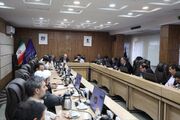 منادی: «شاد» باید به یک پلتفرم ملی تبدیل شود/ آقامیری؛ باید نظام تنظیم‌گری فضای مجازی را بازطراحی کنیم تا در برابر فناوری‌های جدید منفعل نشویم