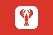 هوش مصنوعی OpenClaw حالا اپلیکیشن مخصوص آیفون دارد