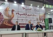 گمرک تخصصی فاوا در پیام راه‌اندازی می‌شود