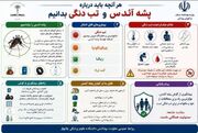 هر آنچه باید درباره تب دنگی بدانیم