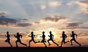 اهمیت آمادگی جسمانی در ورزش و زندگی روزمره