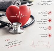 ورزش منظم؛ گامی موثر برای سلامت قلب