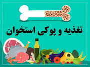 تغذیه و پوکی استخوان و راهکارهای مناسب برای حفظ سلامت استخوان