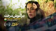 «در آغوش درخت» بهترین فیلم بلند سینمای جهان در جشنواره چنای هند شد