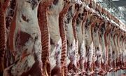 کاهش قیمت گوشت ادامه دارد