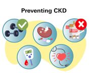 ۱۰ نکته برای نجات‌ کلیه