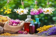 بحران کم‌آبی و ضرورت کشت گیاهان دارویی / مهمترین چالش، نوسانات ارزی و محدودیت اعتبارات است