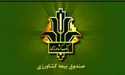 افزایش 140 درصدی غرامت پرداختی به کشاورزان خسارت دیده / جهش ۱۵۰ درصدی تعهدات بیمه گندم/ پوشش 100 درصدی 6.5 میلیون هکتار گندمزار