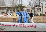 ۴ کامیون حامل دام قاچاق در شهرضا توقیف شد
