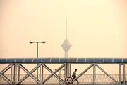 وزش باد شدید و گرد و خاک طی امروز و فردا برای تهران