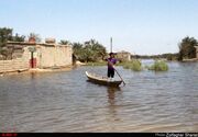 شناسایی حدود ۷۳۲ گونه زیستی در تالاب بین المللی شادگان