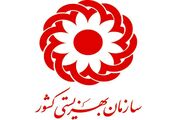 مشاغل خدماتی در صدر شغل‌های ایجاد شده برای مددجویان