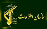 عناصر همکار با دشمن را به «جاسوس‌یاب» معرفی کنید