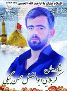 یک کارگر در حادثه ریزش معدن زغال سنگ گل توت زرند جان باخت
