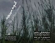نمایشگاه «آنچه روییدنی است» برپا می‌شود/وفادار به بی‌نظمی جهان