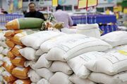 واردات برنج نامرغوب ممنوع شد