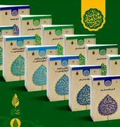 «درسنامه ۱۲ جلدی امامت» دوره آموزشی می‌شود