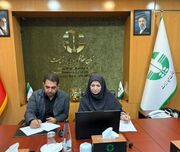 نشست آنلاین رئیس سازمان حفاظت محیط زیست با دبیر اجرایی برنامه محیط‌زیست سازمان ملل متحد برگزار شد