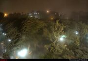 هشدار هواشناسی البرز درباره تندباد و گردوخاک تا شامگاه سه‌شنبه