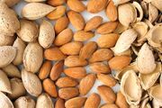 سالانه ۳۶ هزار تن بادام در چهارمحال و بختیاری تولید می شود