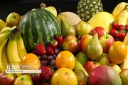 4 نکته طلایی برای ایام امتحانات/ از این غذاها غافل نشوید