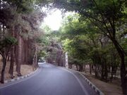 آماده‌سازی بوستان چیتگر به عنوان زائرسرا در مراسم وداع و تشییع رهبر شهید