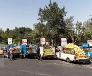 تأکید دادستان خوزستان بر ساماندهی وانت‌بارها و دست‌فروشان توسط شهرداری اهواز