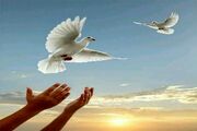 آزادی سه زندانی جرایم غیرعمد با همت دانش‌آموزان تهرانی