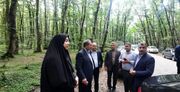 ثبت جهانی گیسوم تالش نیازمند ساماندهی و استقرار مناسب دستفروشان است
