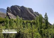 ثبت جهانی الموت ۲ دهه طول کشید