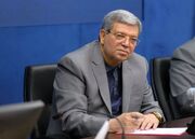 فعالیت ۲۵ هزار نیروی انسانی در سازمان بهزیستی