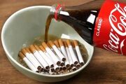 آموزش ساخت محلول دفع حشرات با نوشابه و سیگار
