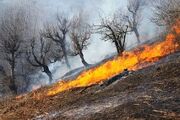 مهار آتش‌سوزی در زیستگاه‌های طبیعی ارتفاعات سرکش شهرستان گیلانغرب