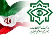 دستگیری 21 نفر از مزدوران مرتبط با رژیم صهیونیستی در استان کرمان