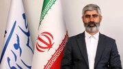 تخلف ۴۵ هزار میلیارد تومانی در واردات نهاده‌های دامی